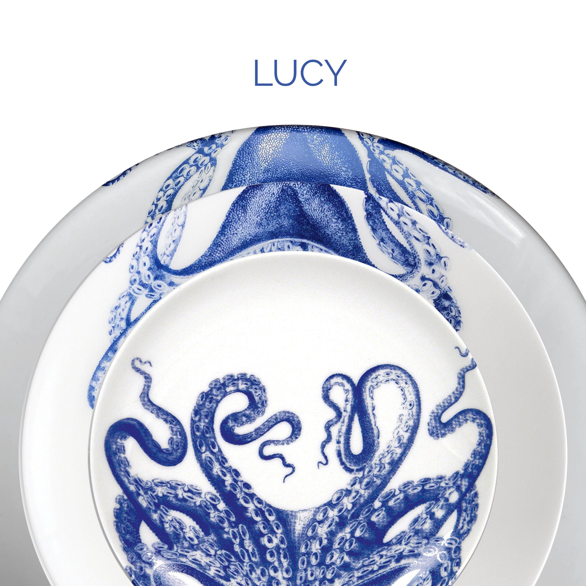 A plate with an octopus design on it.