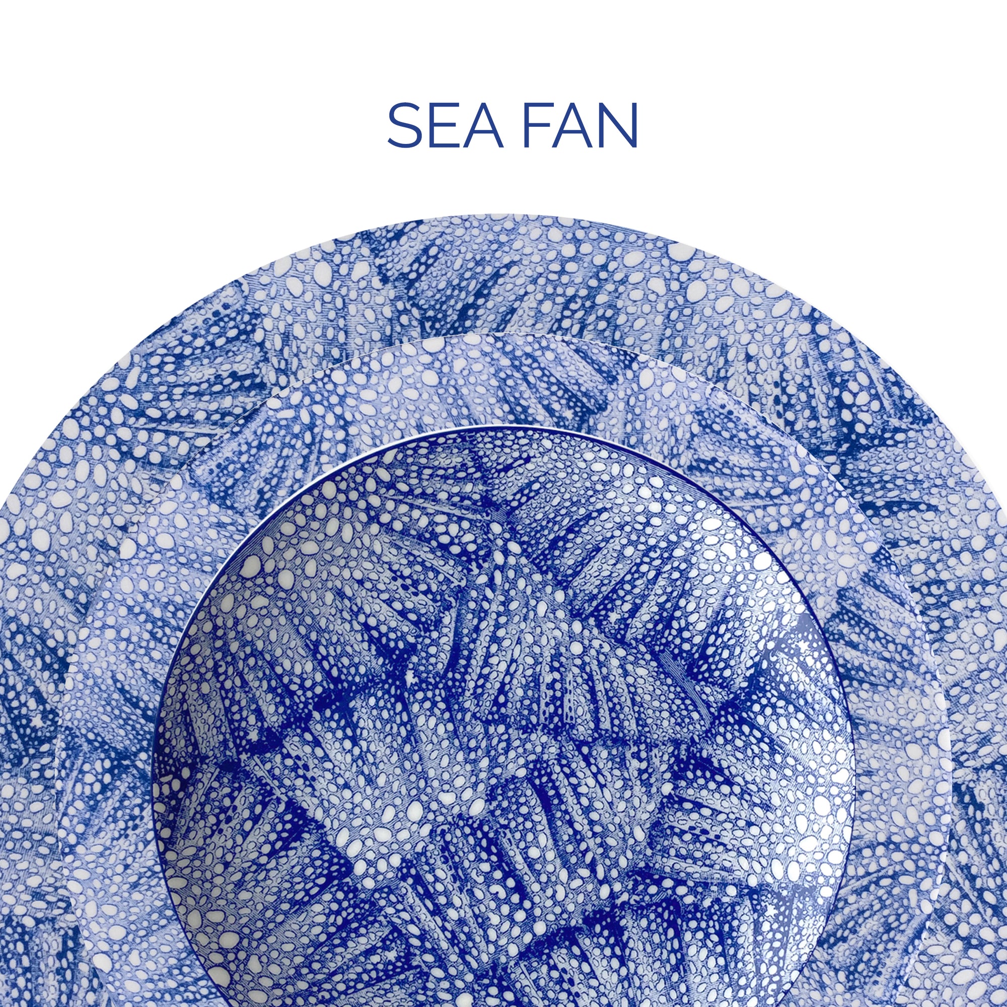 Sea Fan