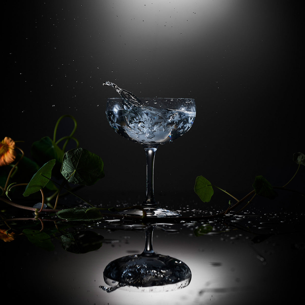 A Chatham Bloom Coupe Cocktail Glass with water splashing out of it from the Caskata collection.