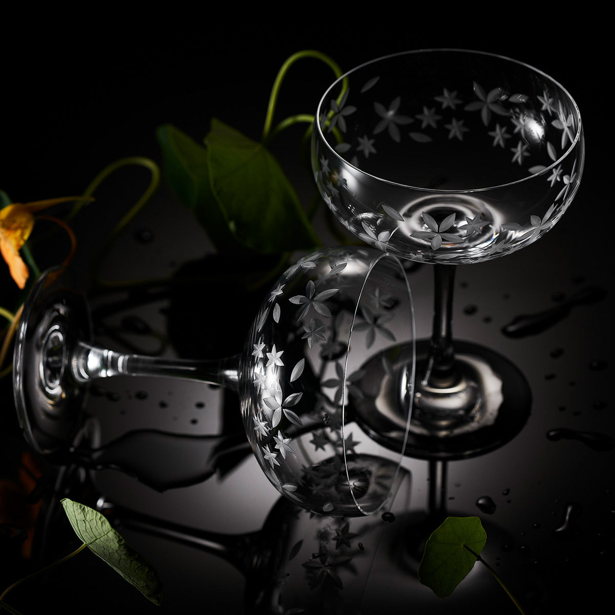 Two Chatham Bloom Coupe Cocktail Glasses, from the Caskata brand, elegantly displayed on a sleek black surface. These exquisite glasses are meticulously crafted from lead-free crystal.