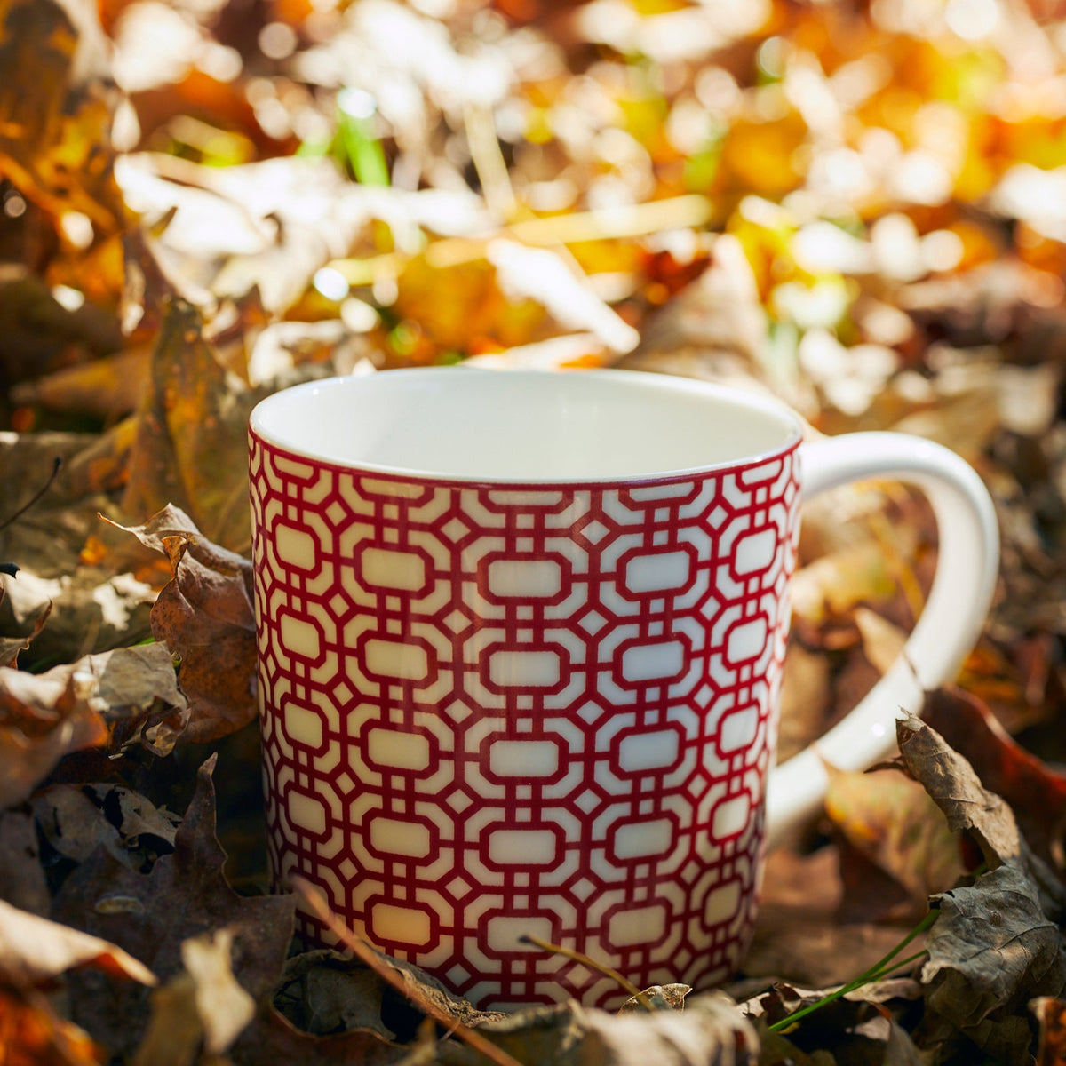 A Newport Garden Gate Crimson Mug sitting on a pile of leaves. (Brand: Caskata Artisanal Home)