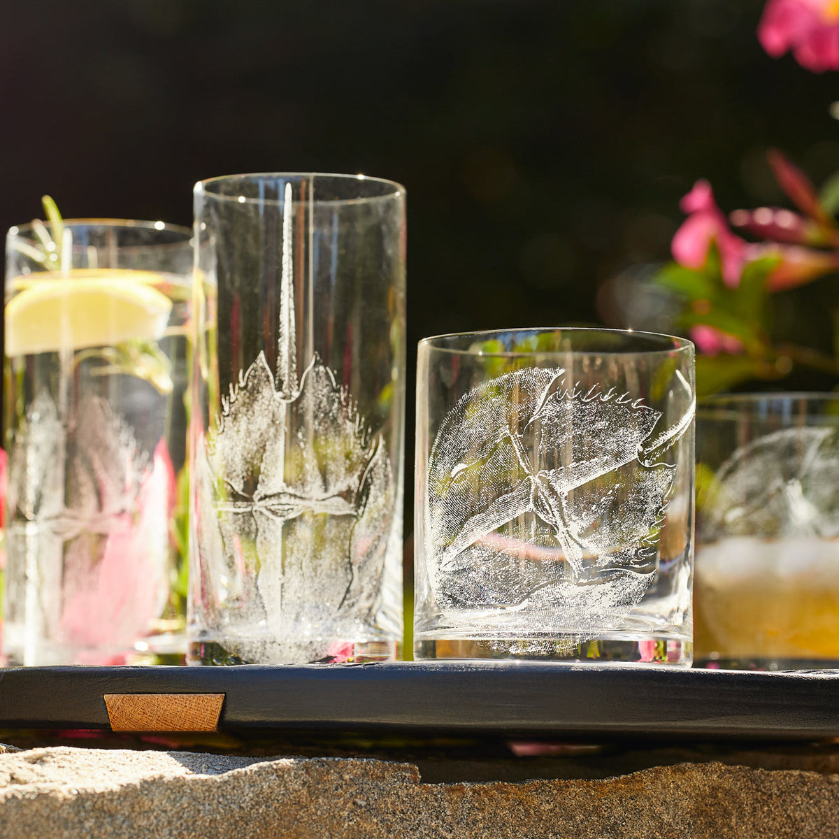 A set of Horseshoe Crab Short Drink Glasses by Caskata on a tray with flowers.