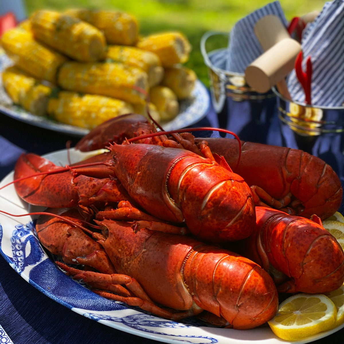 A plate of cooked lobsters is in the foreground, elegantly presented on a creamy white premium porcelain Lucy Oval Rimmed Platter by Caskata Artisanal Home and garnished with lemon slices. In the background, there is a dish of corn on the cob and a bucket with napkins and utensils.