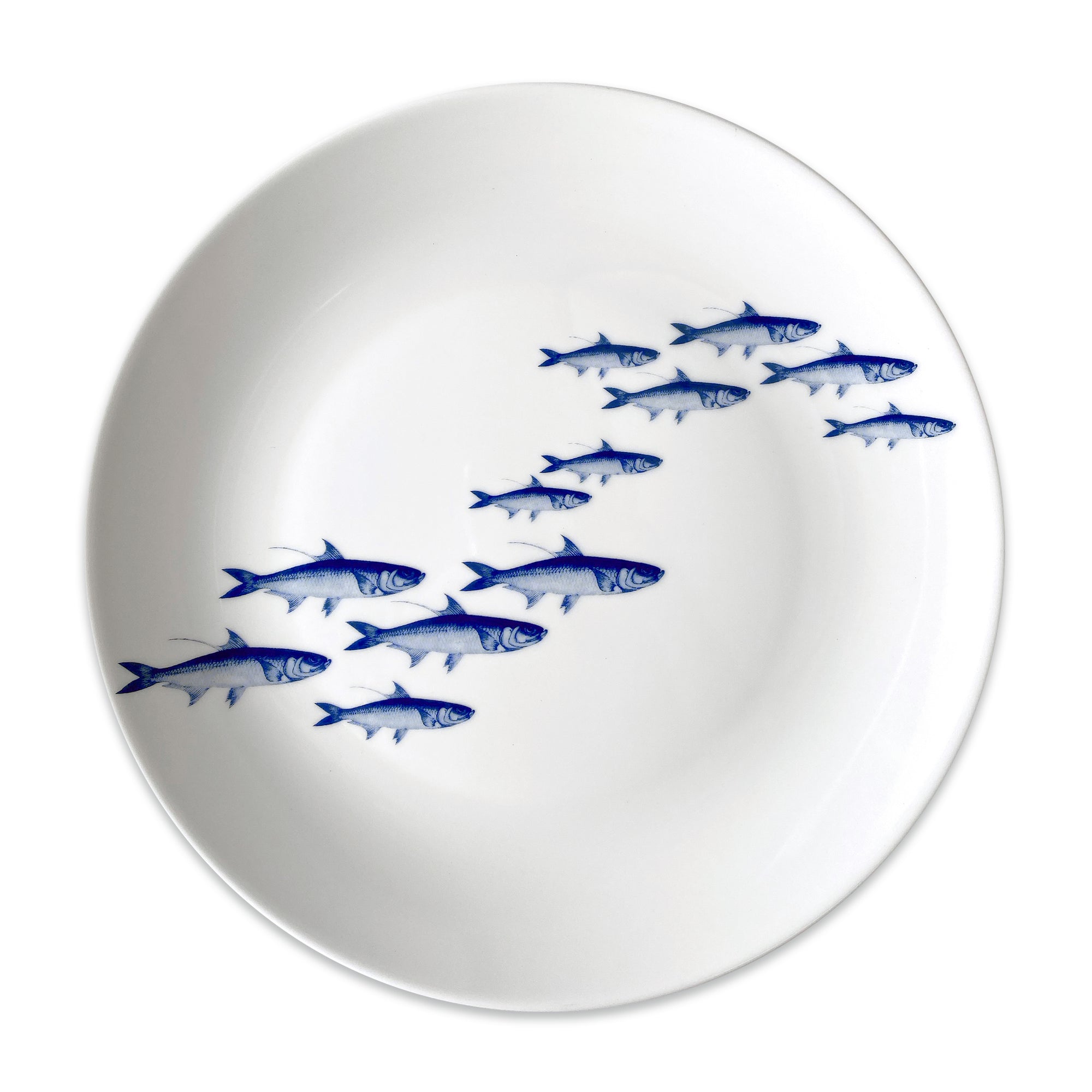 School of Fish Coupe Dinner Plate from Caskata Artisanal Home, a white ceramic plate with a pattern of blue fish swimming in a curved line, viewed from above; this premium porcelain dinnerware is dishwasher safe.