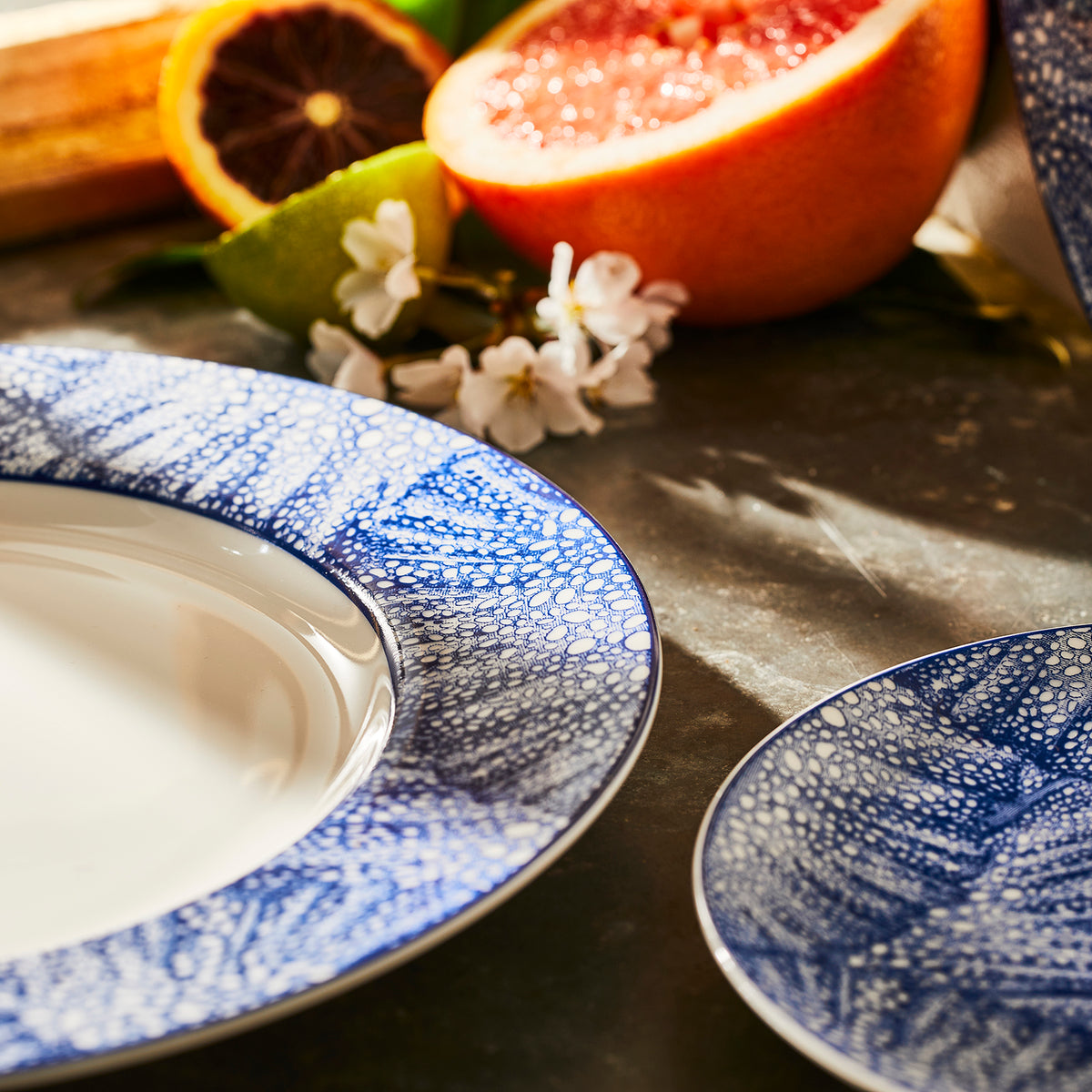 Detail photo of the Sea Fan Canapé plate and rimmed dinner plate from Caskata.