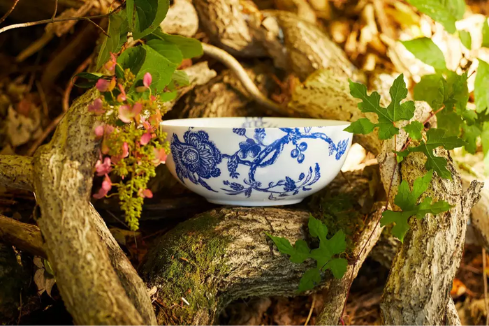 The Complete Guide to Bone China vs Porcelain Dinnerware
