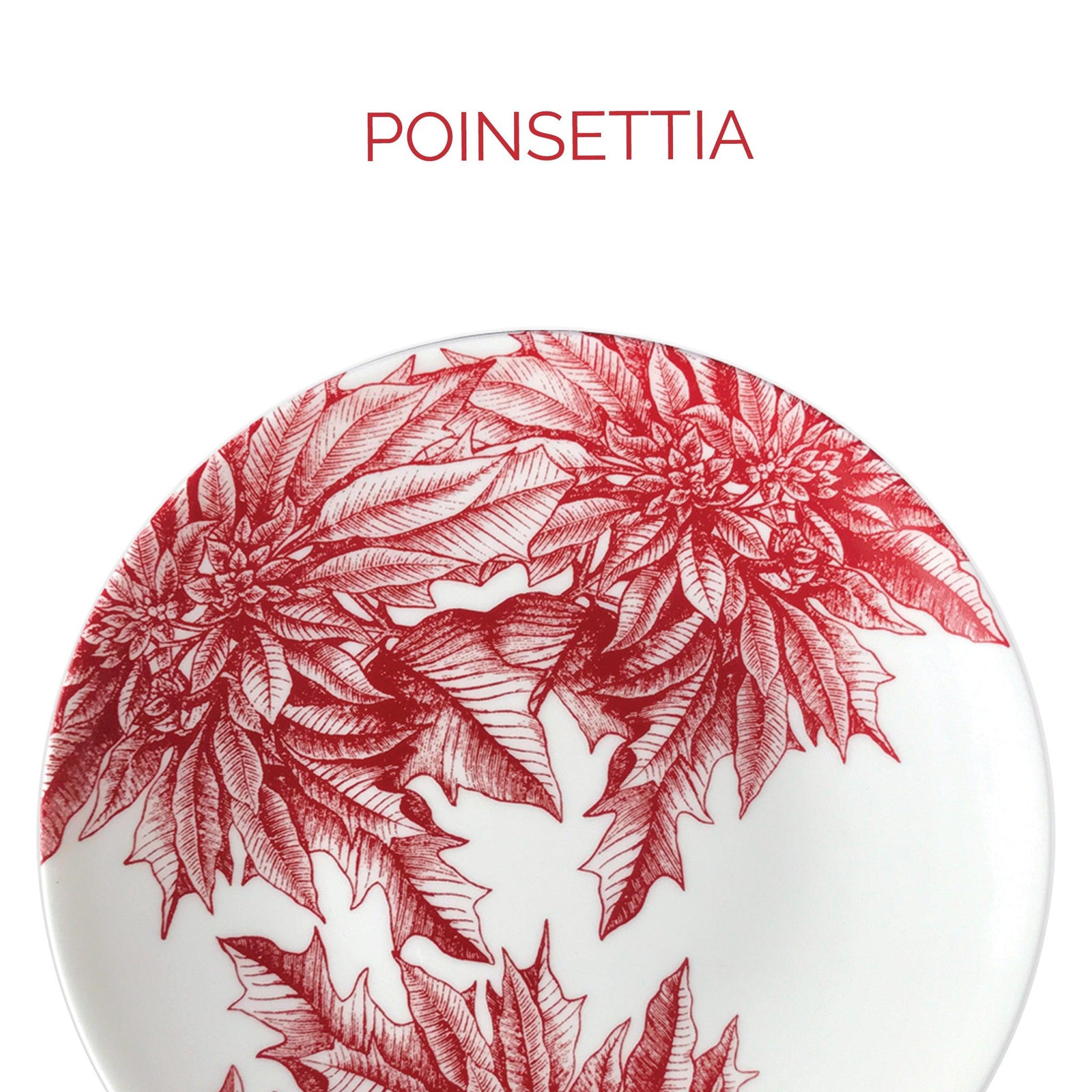 A ceramic plate featuring red poinsettia floral designs on a white background. The word "Poinsettia" is written above it.