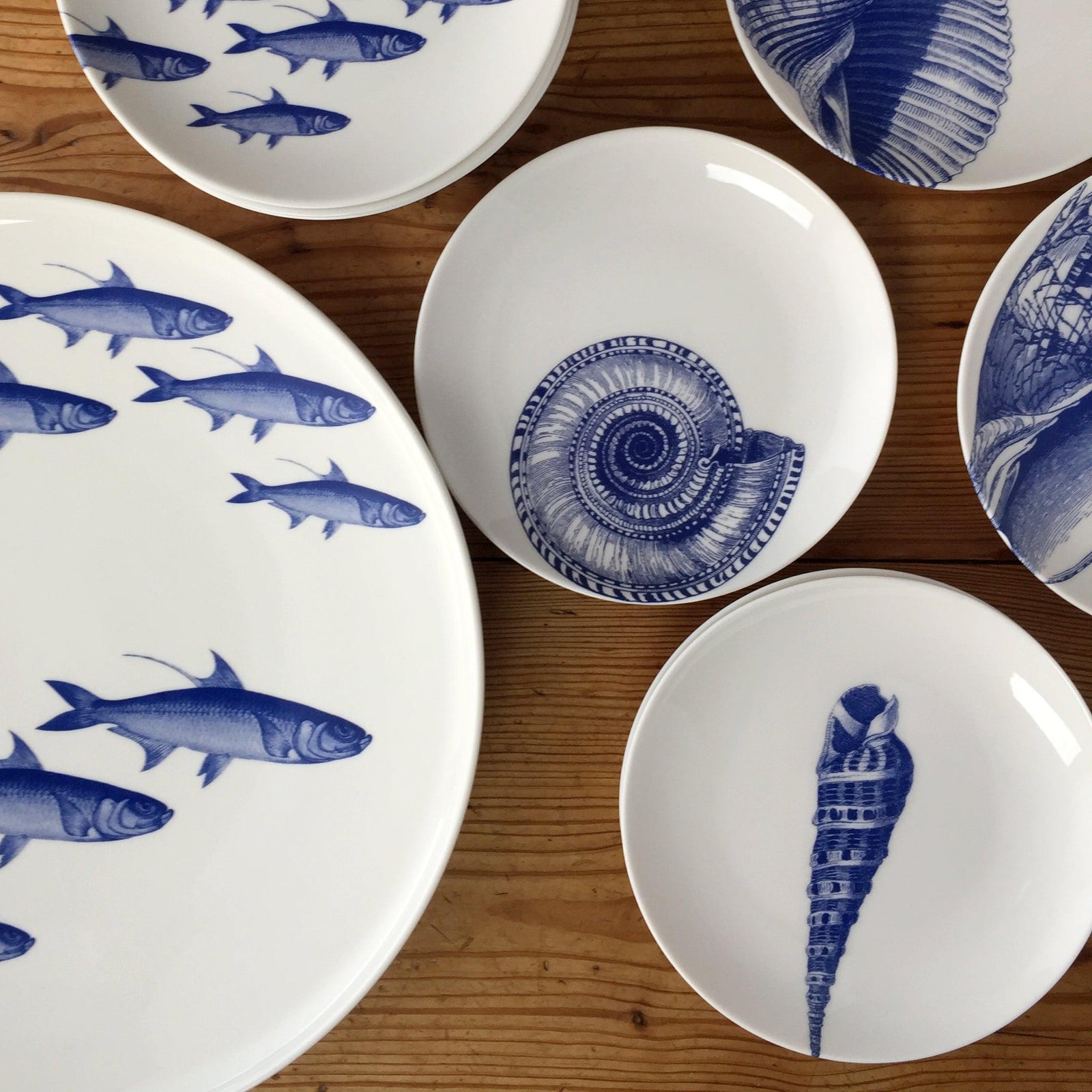 A collection of white plates with blue fish and seashell designs arranged on a wooden surface.