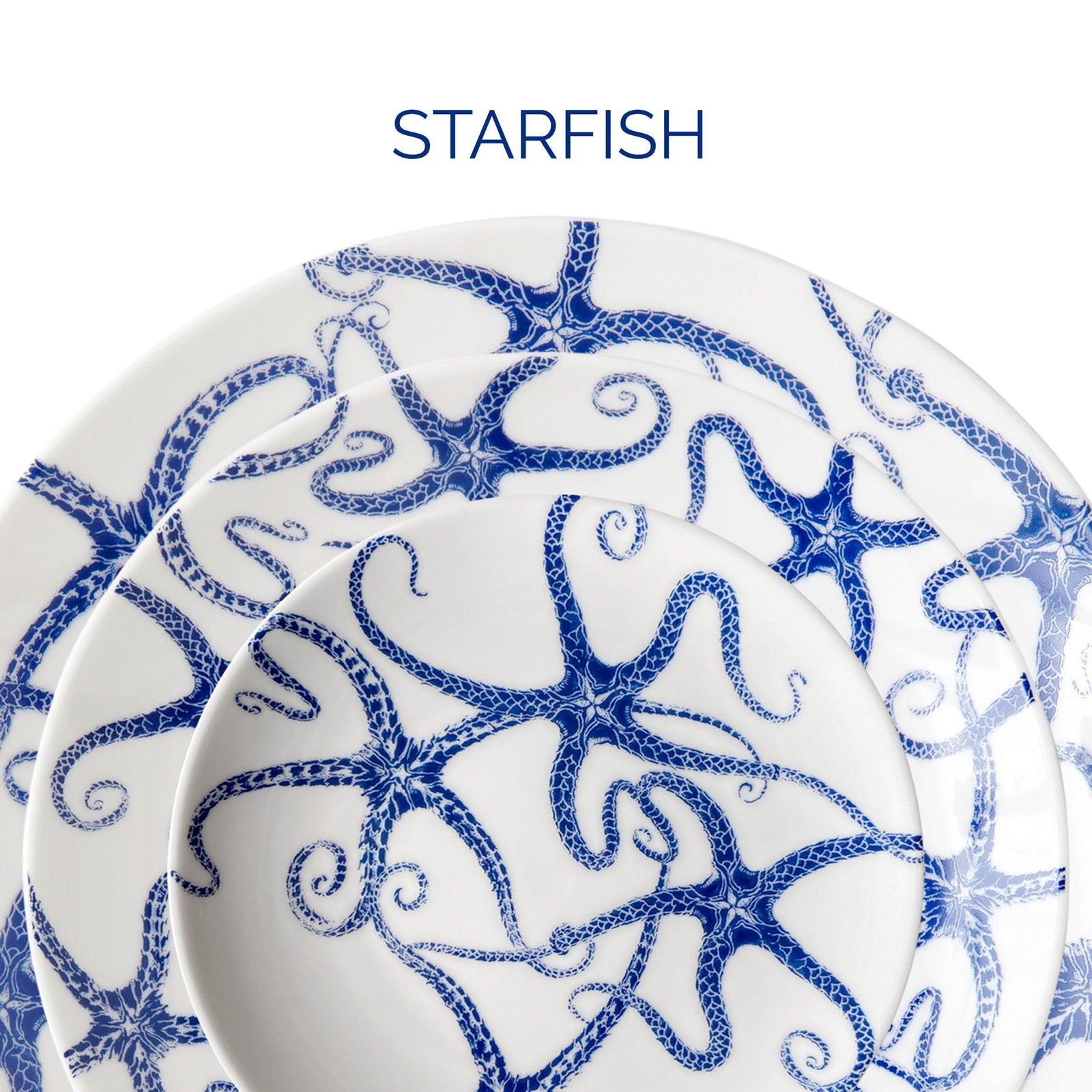 Two white plates with blue starfish patterns and the word "STARFISH" written above them.