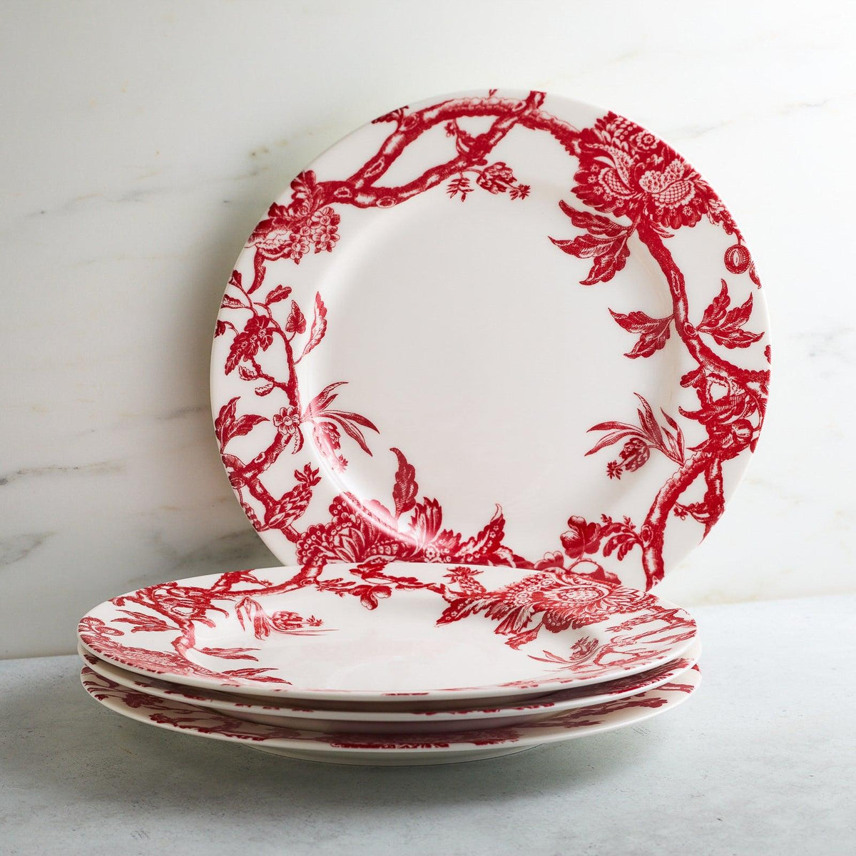 Arcadia Crimson Rimmed Dinner Plate - Caskata