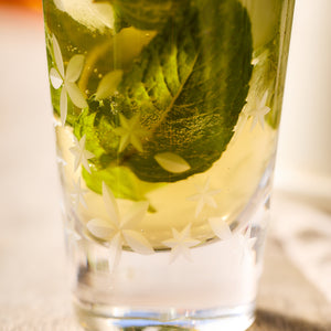 A close-up of a glass of green beverage with visible ice and mint leaves inside, crafted from lead-free crystal and decorated with white star-shaped patterns from the Chatham Bloom Highball Glasses by Caskata.