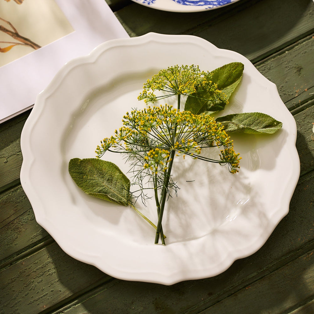 Stella Scalloped White Dinner Plate by Caskata, adorned with yellow-flowered herbs and green leaves exuding a vintage feel, elegantly arranged on a wooden table.