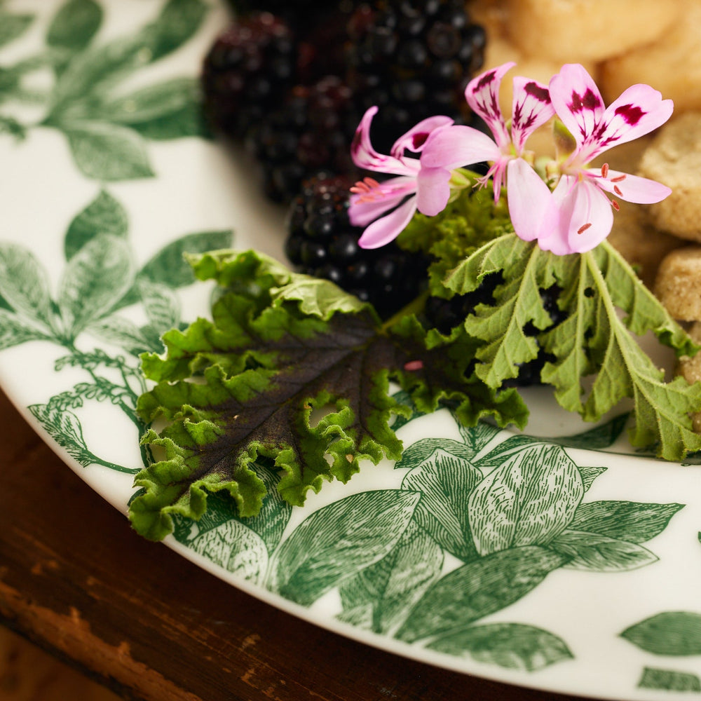 Arbor Green Rimmed Dinner Plate image 3