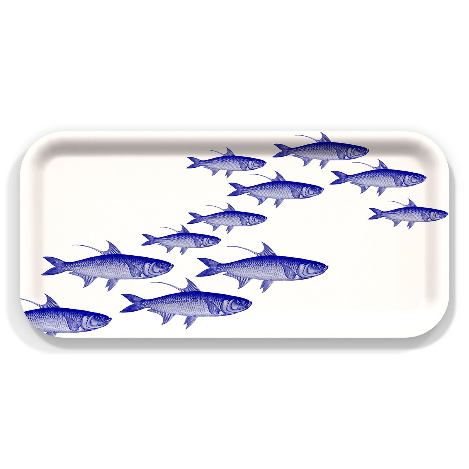 The Caskata School of Fish Small Rectangular Birchwood Tray displays eleven blue fish elegantly swimming to the right against a pristine white background.