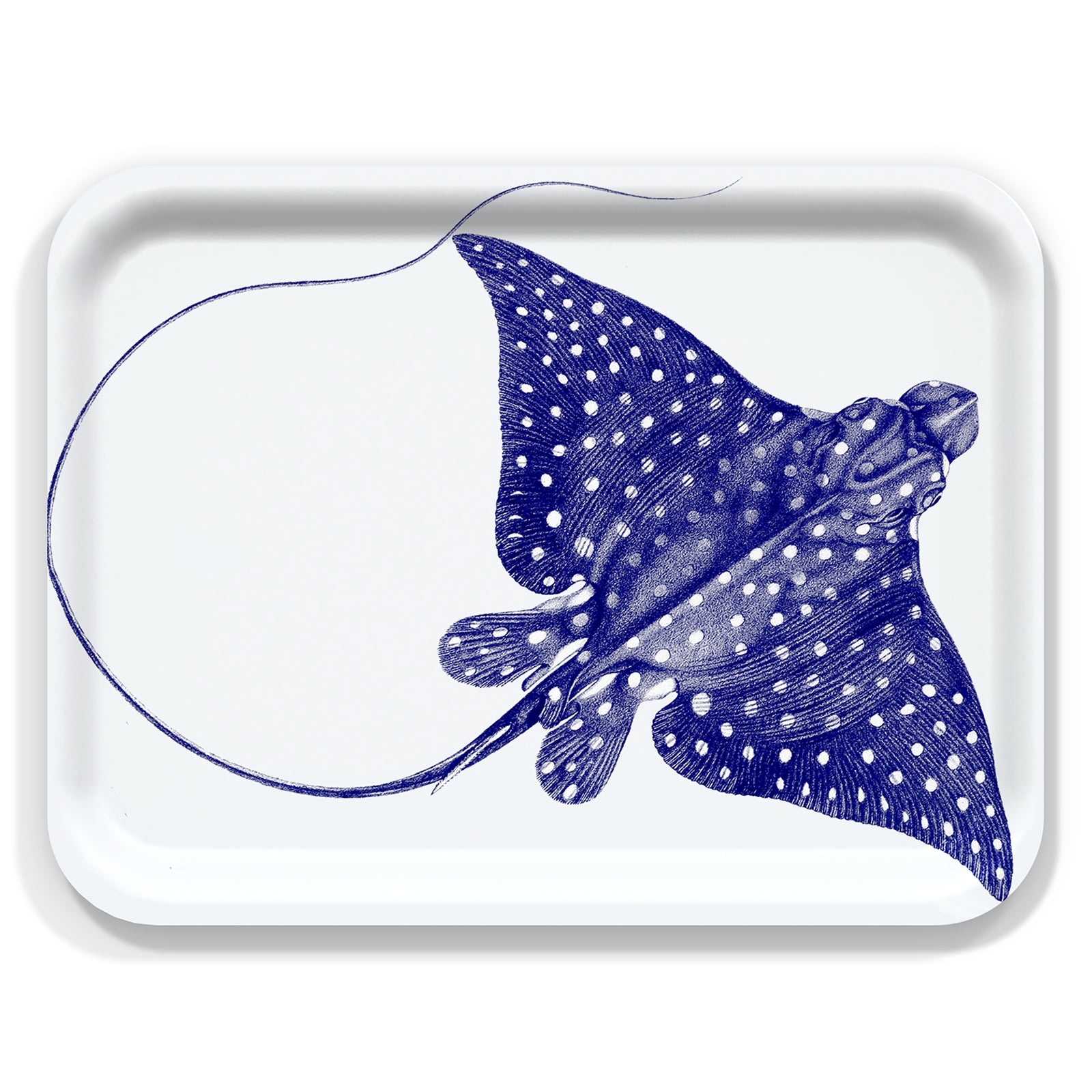 Part of Caskata's Coastal Collection, the Spotted Stingray Large Rectangular Birchwood Tray features a detailed blue spotted eagle ray illustration on a white background.