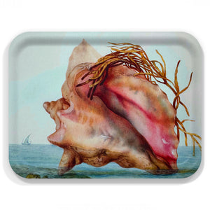 The Caskata Conch Reverie Large Rectangular Birchwood Tray features a large conch shell with brown seaweed, illustrated on FSC-certified birchwood against a seascape background with a distant sailboat.