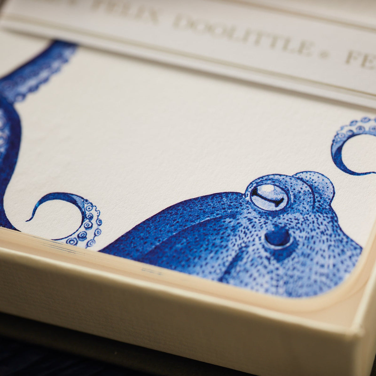 A blue octopus on a notepad in a Caskata X Felix Doolittle Lucy &amp; School of Fish Note Card Set box by Felix Doolittle.