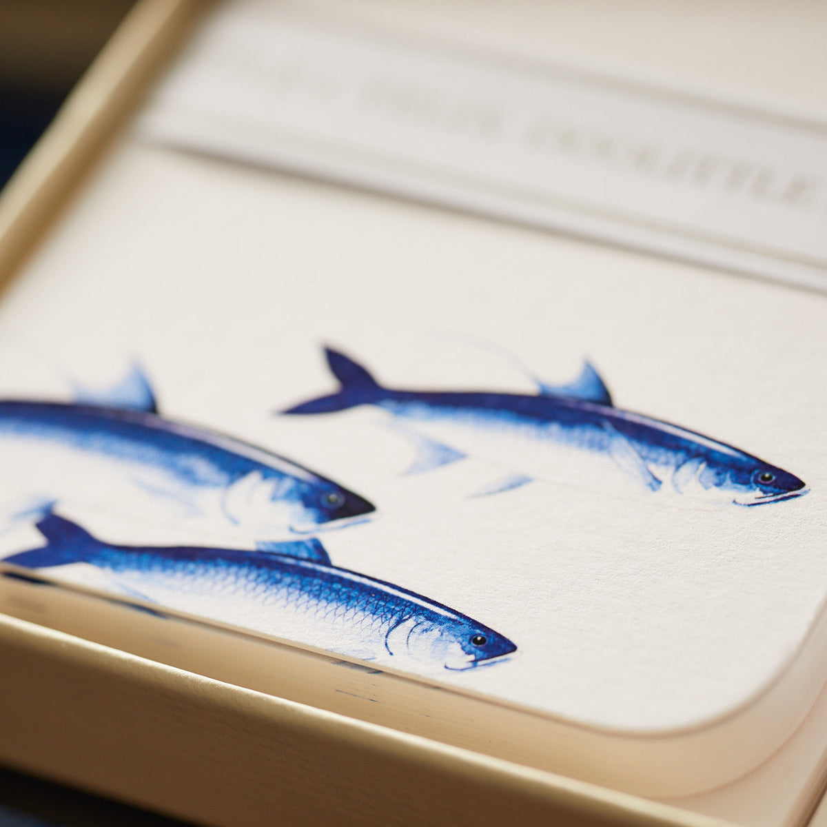 Two blue fish swimming gracefully in a gift box signed by Caskata X Felix Doolittle Lucy &amp; School of Fish Note Card Set.