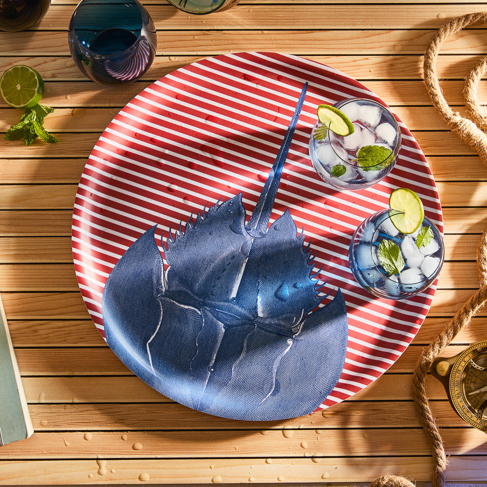 Horseshoe Crab Large Round Birchwood Tray image 2