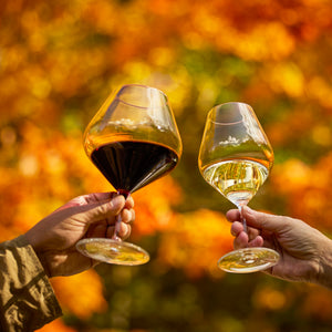 Two hands clink Caskata's The Library Wine Lover's Starter Set—lead-free crystal glasses for red and white wine—against a blurred autumn backdrop, highlighting refined elegance.