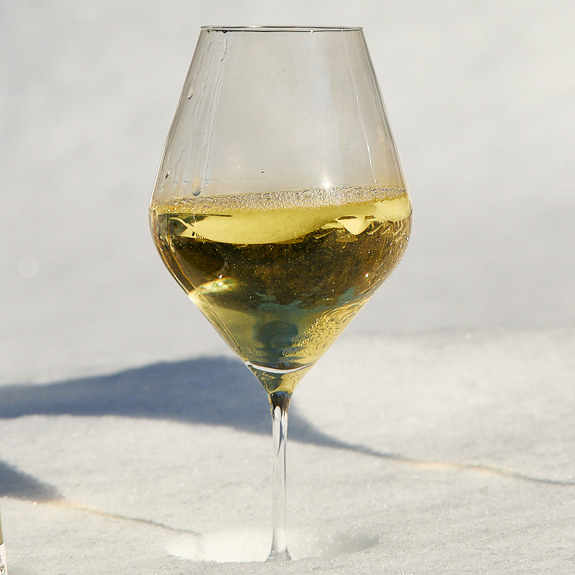 Library White Wine Glasses, Set of 4 image 8