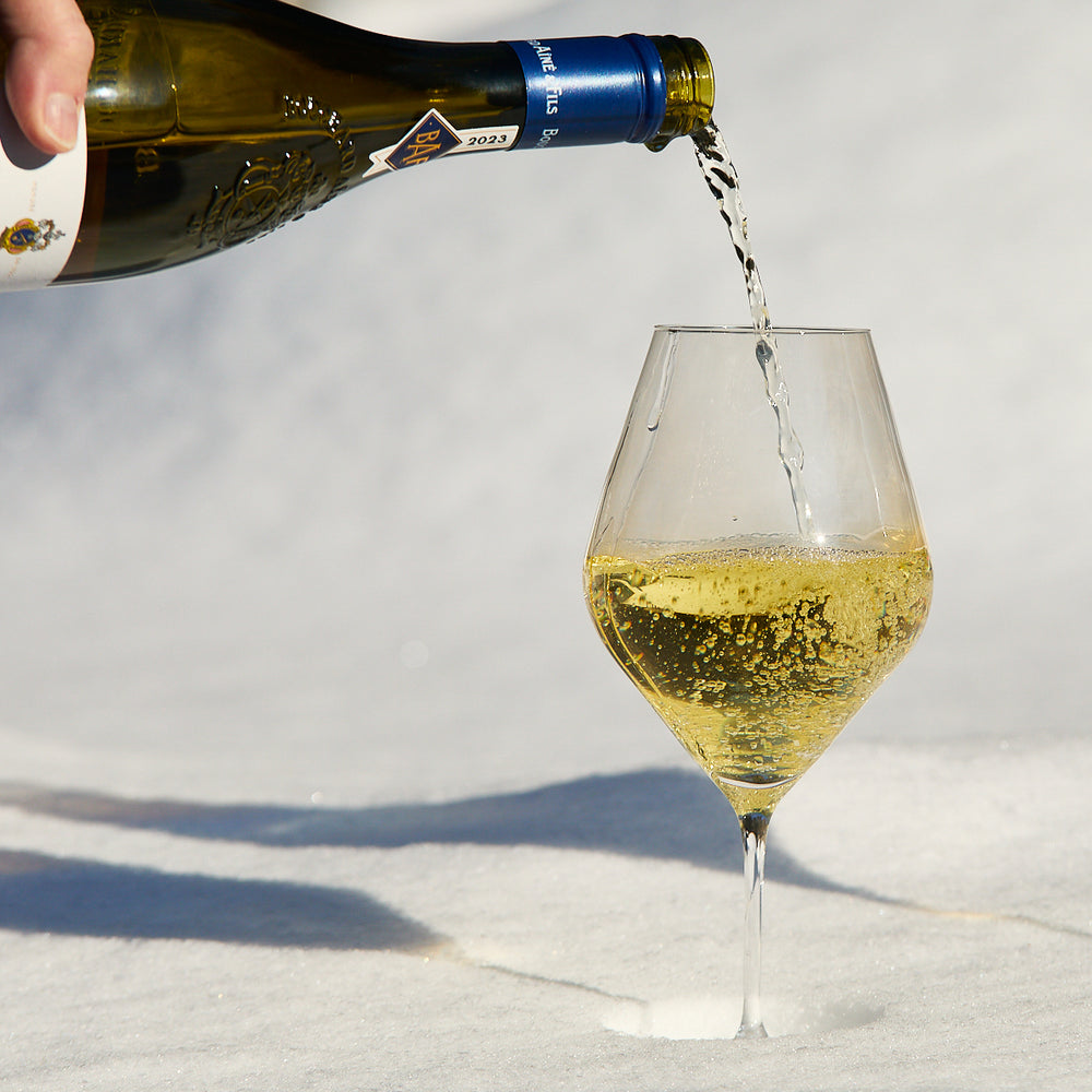 Library White Wine Glasses, Set of 4 image 4