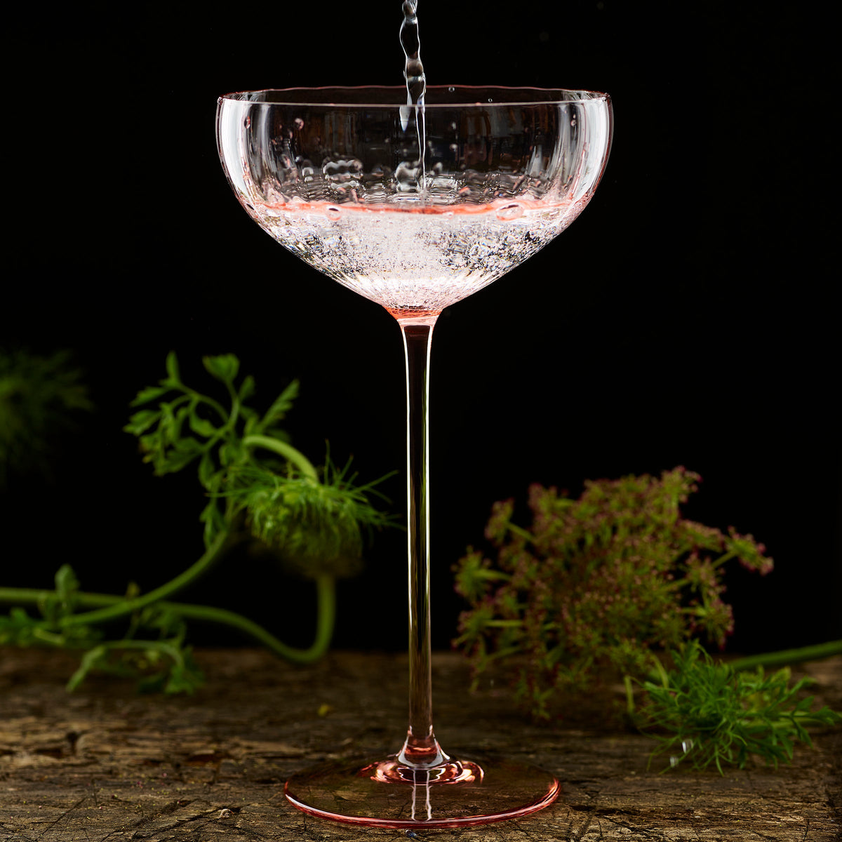 Quinn Rose Coupe Cocktail Glass from Caskata