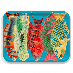 The Caskata Rainbow Fish Large Rectangular Tray features five colorful, illustrated fish with unique patterns, set side by side on FSC-certified birchwood in a blue design.