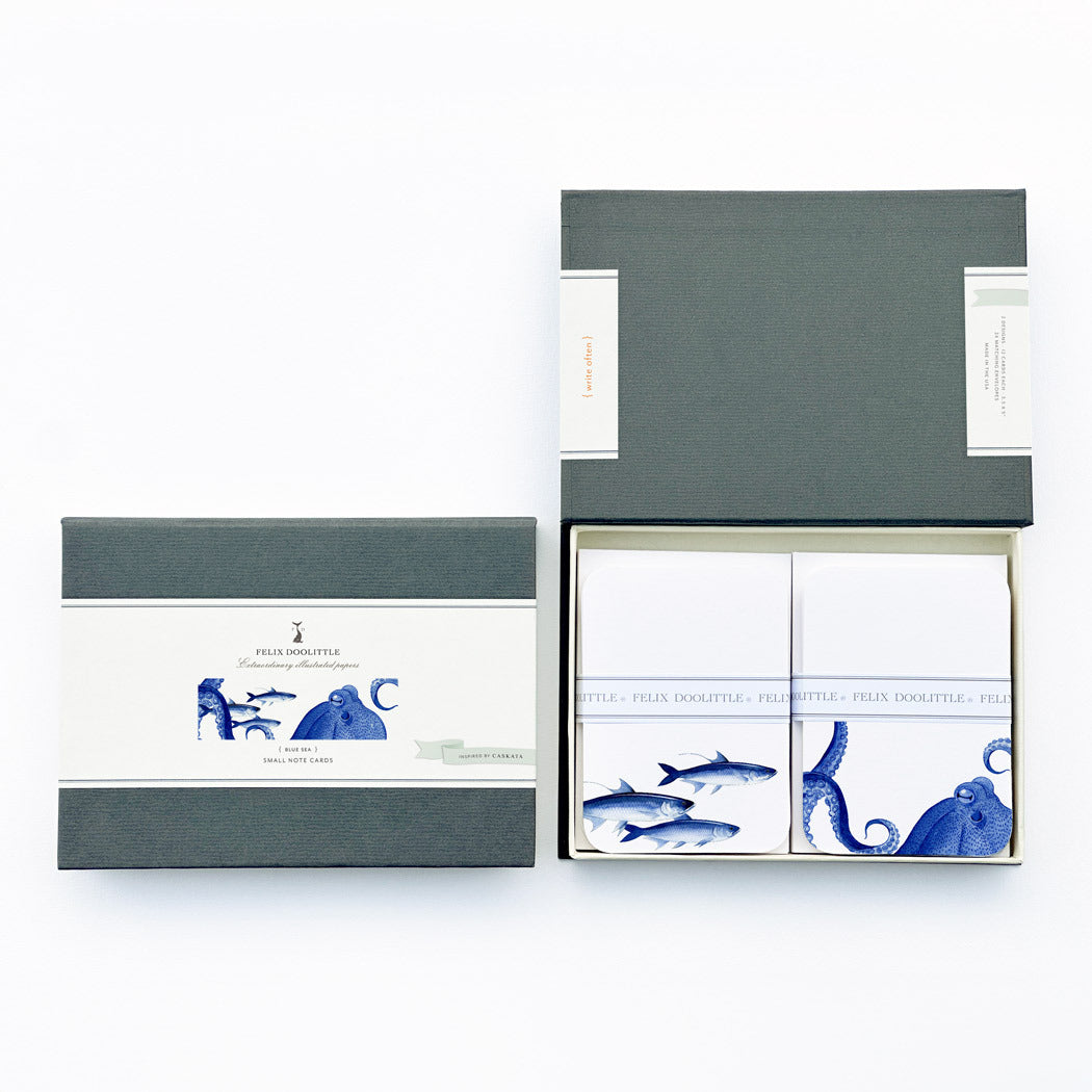 Caskata X Felix Dolittle Lucy &amp; School of Fish Note Card Set