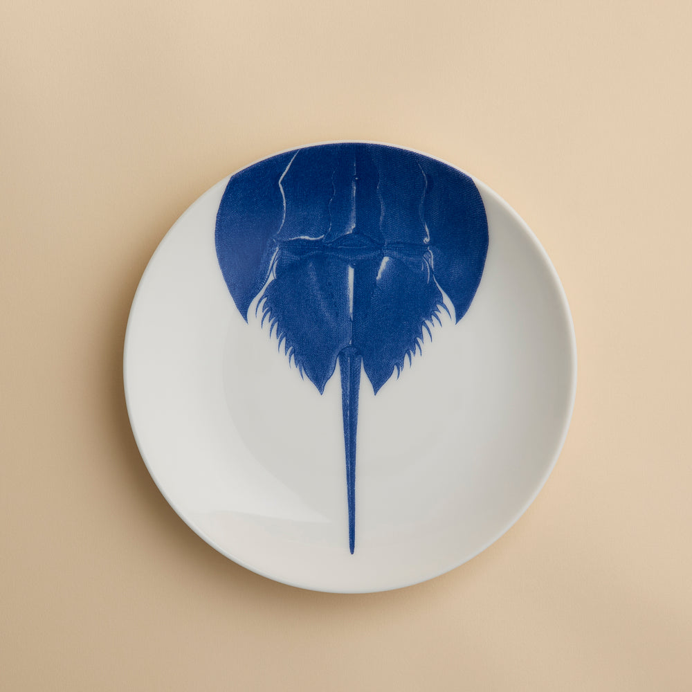 The Horseshoe Crab Coupe Salad Plate by Caskata Artisanal Home features a blue illustration of a horseshoe crab, seen from above, on a modern white coupe plate with its tail extending toward the bottom edge.