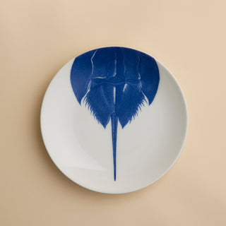 The Horseshoe Crab Coupe Salad Plate by Caskata Artisanal Home features a blue illustration of a horseshoe crab, seen from above, on a modern white coupe plate with its tail extending toward the bottom edge.