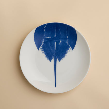 The Horseshoe Crab Coupe Salad Plate by Caskata Artisanal Home features a blue illustration of a horseshoe crab, seen from above, on a modern white coupe plate with its tail extending toward the bottom edge.
