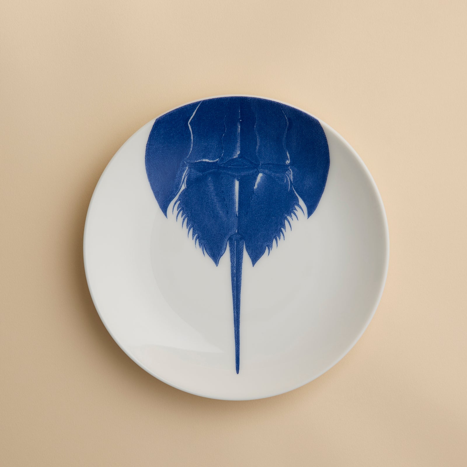The Horseshoe Crab Coupe Salad Plate by Caskata Artisanal Home features a blue illustration of a horseshoe crab, seen from above, on a modern white coupe plate with its tail extending toward the bottom edge.