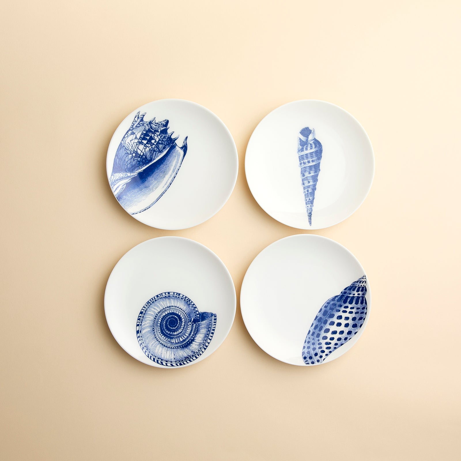 Set of 4 small plates in mixed Shell engravings on porcelain from Caskata