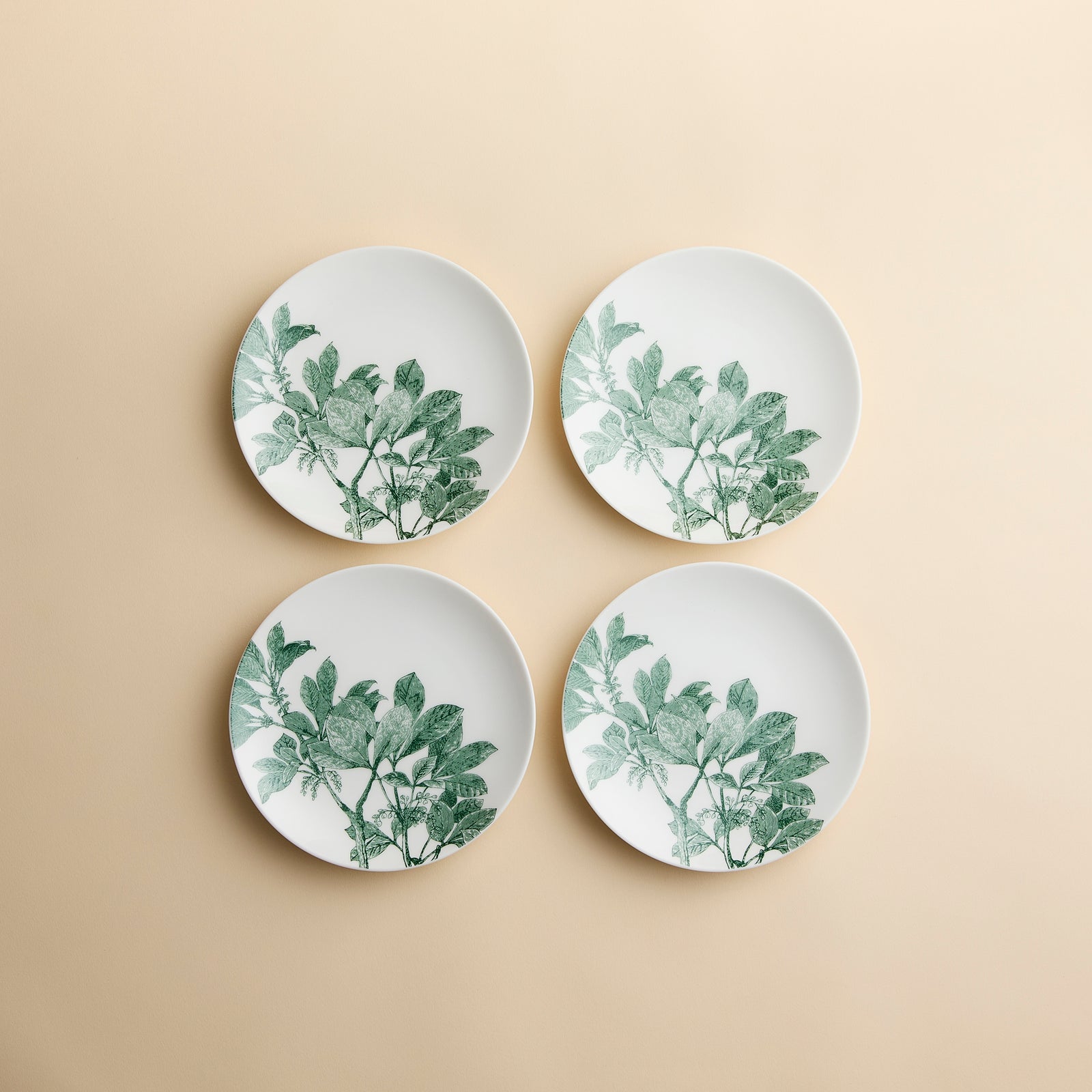 Set of 4 pretty small plates in the Arbor Green pattern on porcelain with floral engravings in dark green from Caskata.