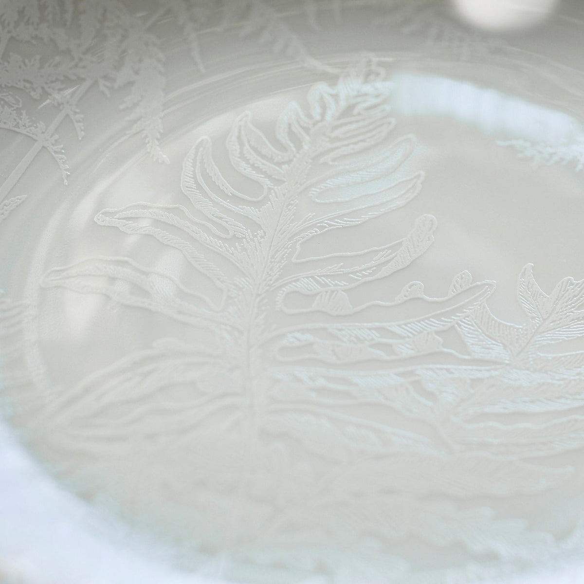 Spring Coupe Platter - Closeup detail of raised white on white porcelain fernsCaskata