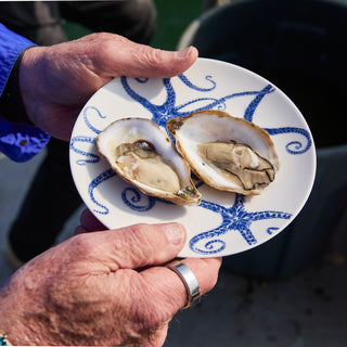 Two hands hold a white plate from Caskata's Starfish Ultimate Set, showcasing two freshly shucked oysters—an elegant example of coastal blue and white porcelain dishware.