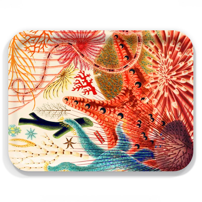 The Caskata Underwater Affair Large Rectangular Birchwood Tray features a vibrant scientific illustration of marine life, including starfish, corals, sea urchins, and algae, on sustainable FSC-certified birchwood.