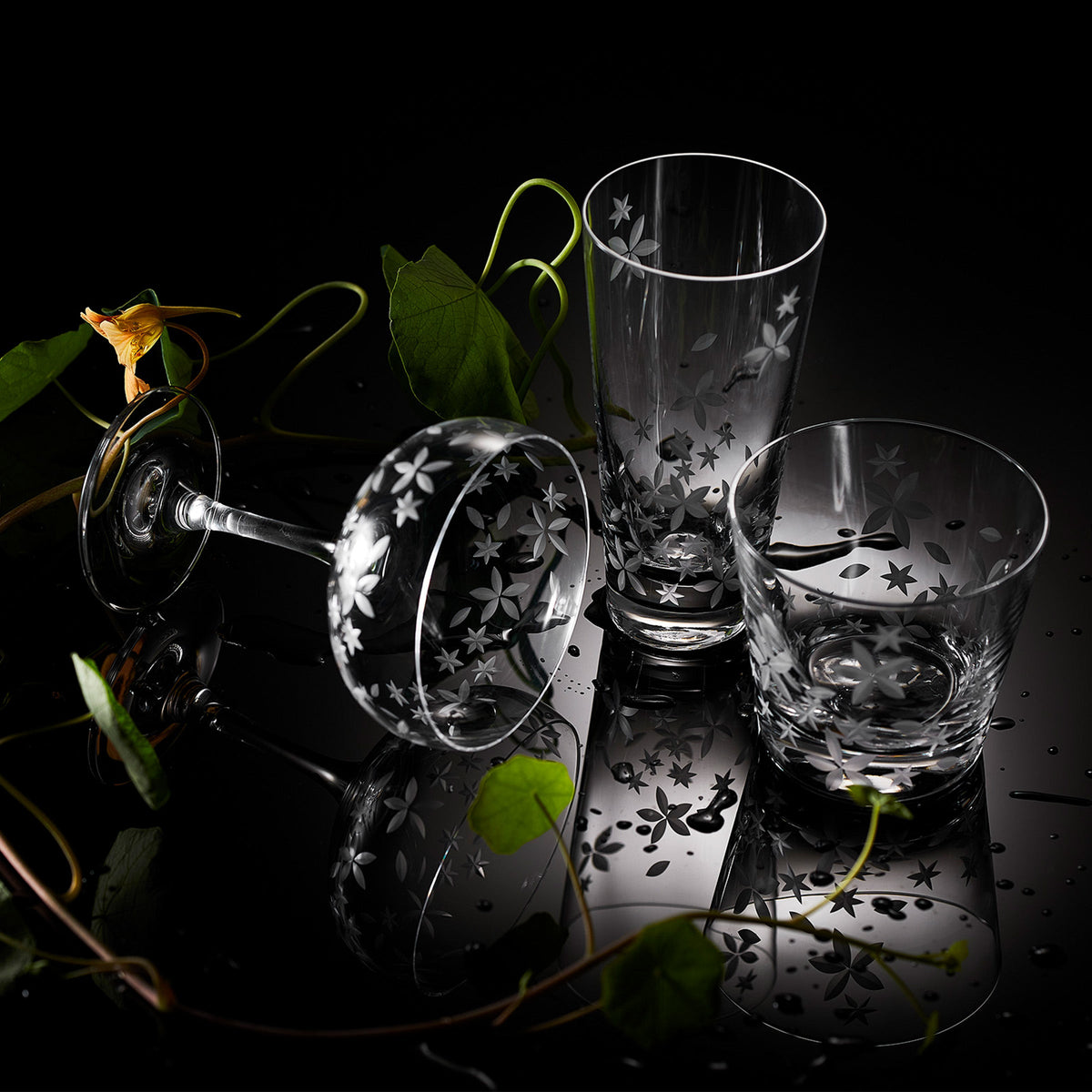 Etched crystal Chatham Floral Collection, including coupe cocktail, highball and tumbler glasses from Caskata.