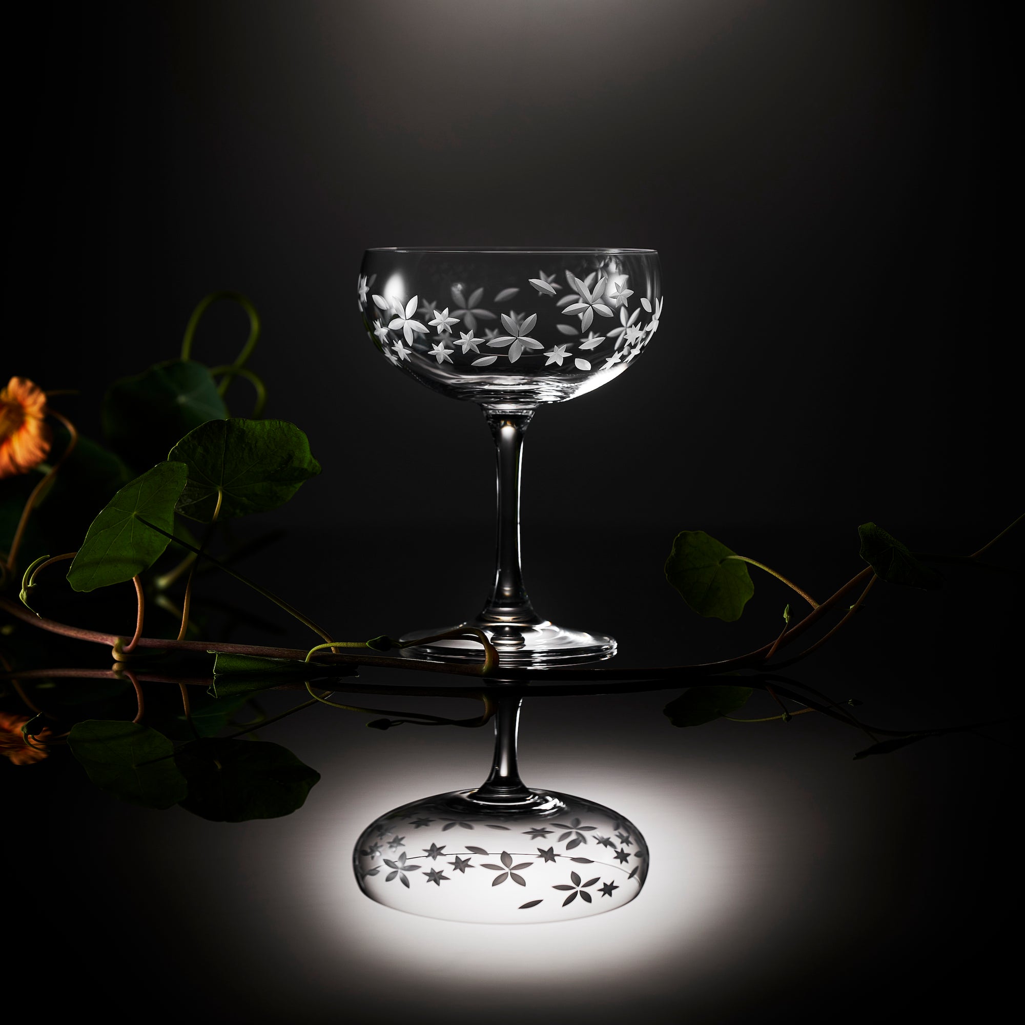 A pair of Chatham Bloom Coupe Cocktail Glasses with a delicate floral pattern. (Brand: Caskata)