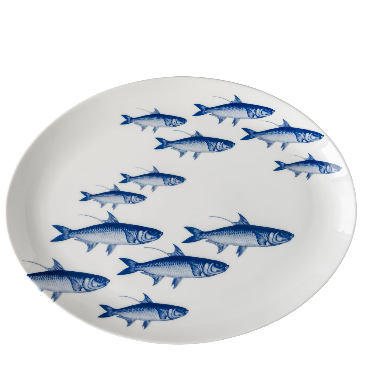 School of Fish Coupe Oval Platter - Caskata