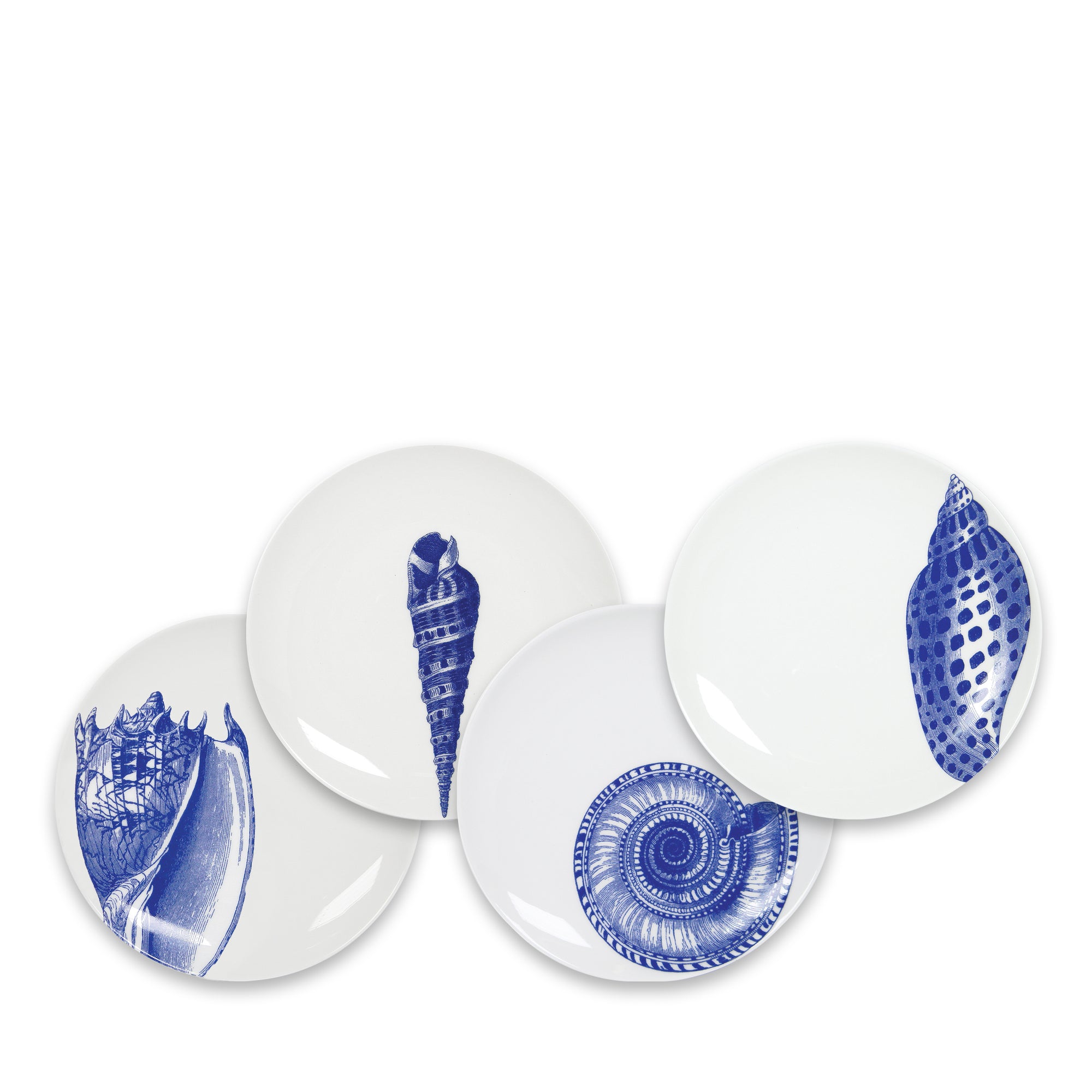 Four heirloom-quality Shells Small Plates by Caskata Artisanal Home featuring blue sea shell designs in different styles are arranged in an overlapping pattern on a white background, showcasing their place in a refined beach collection.